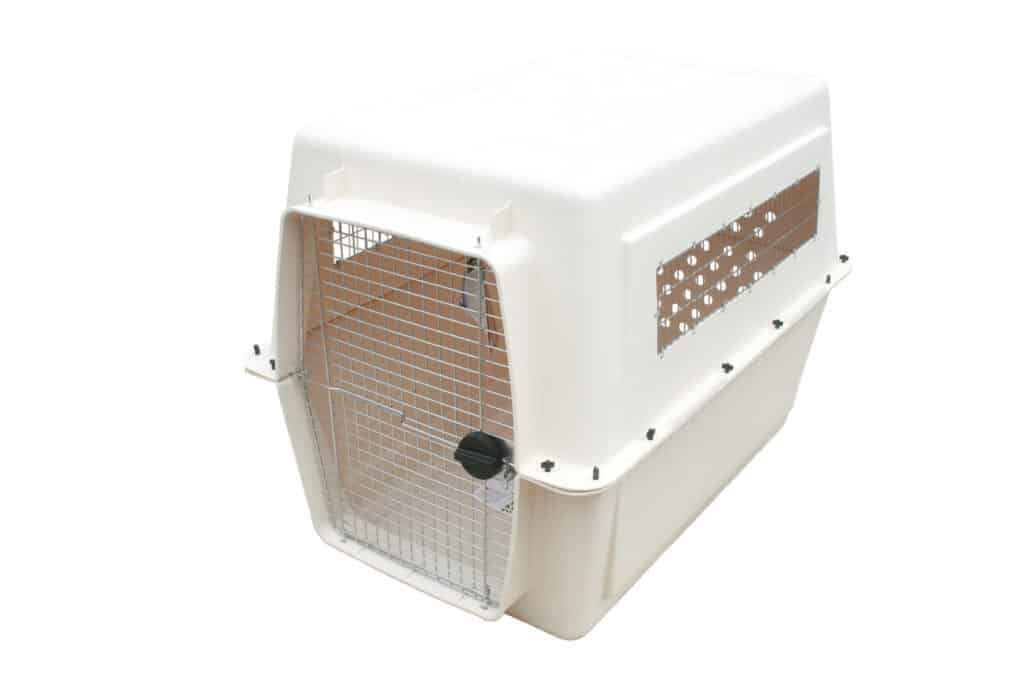 plastic-crate - OdoggoMYdoggo