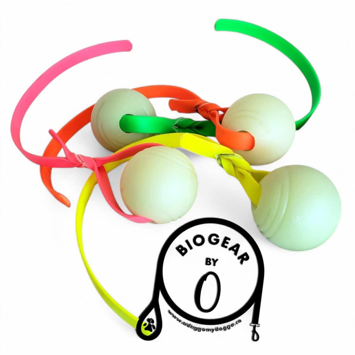 323355af-cdd4-4da8-9bc5-129567f5ba9f - OdoggoMYdoggo