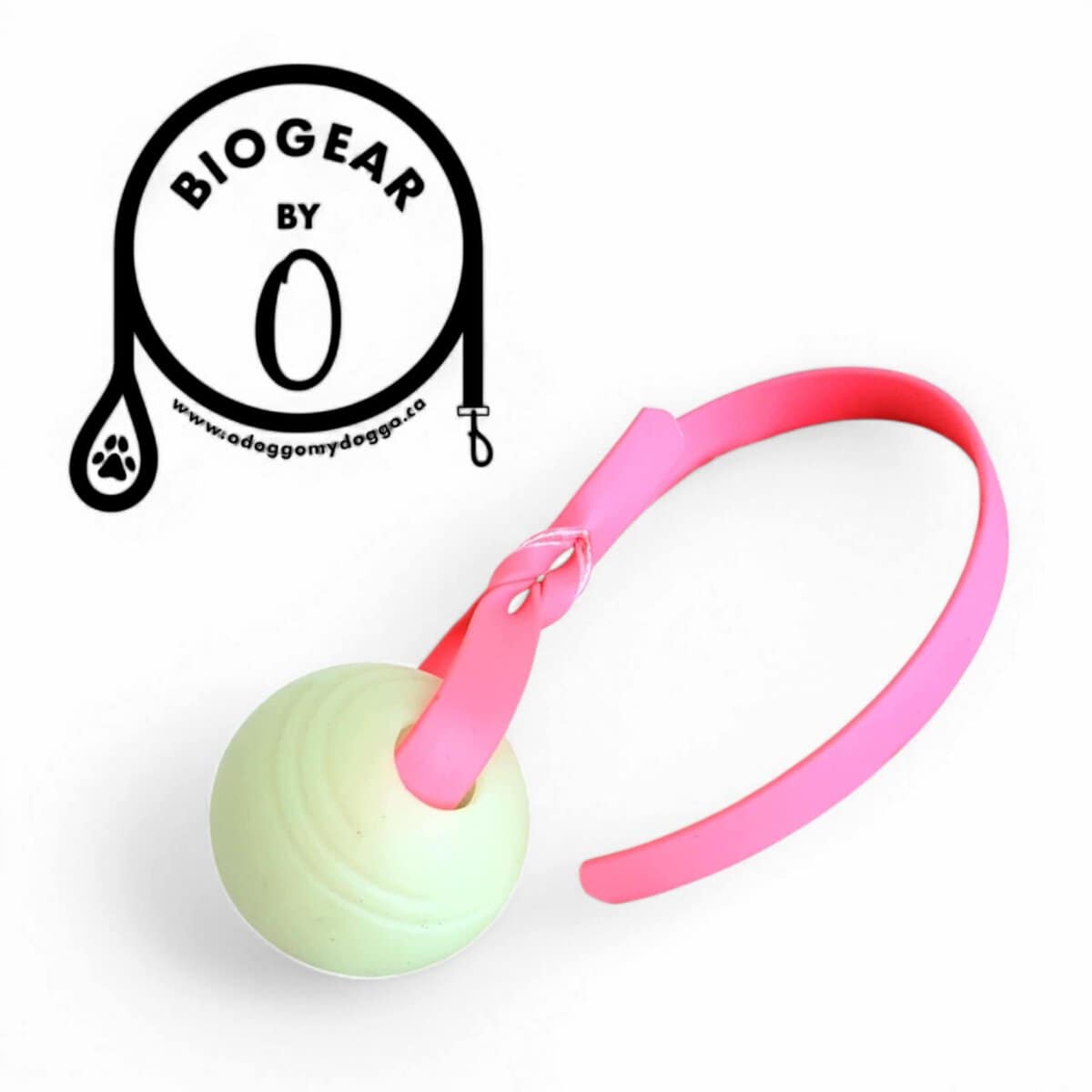 ad1ae511-b5c6-414e-9301-107bed733bdd - OdoggoMYdoggo